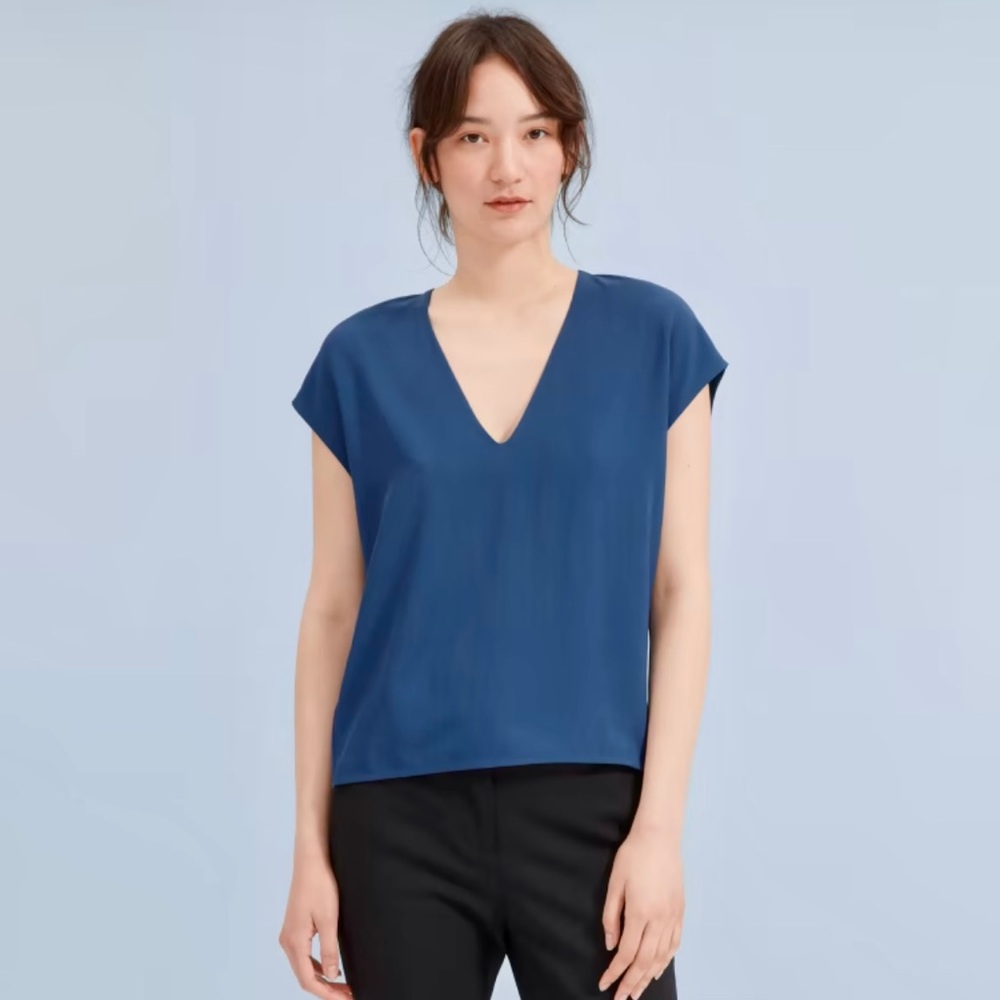 Everlane Japanese GoWeave V-Neck Tee Royal Blue